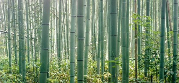Bamboe bedlinnen